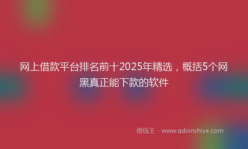 网上借款平台排名前十2025年精选，概括5个网黑真正能下款的软件