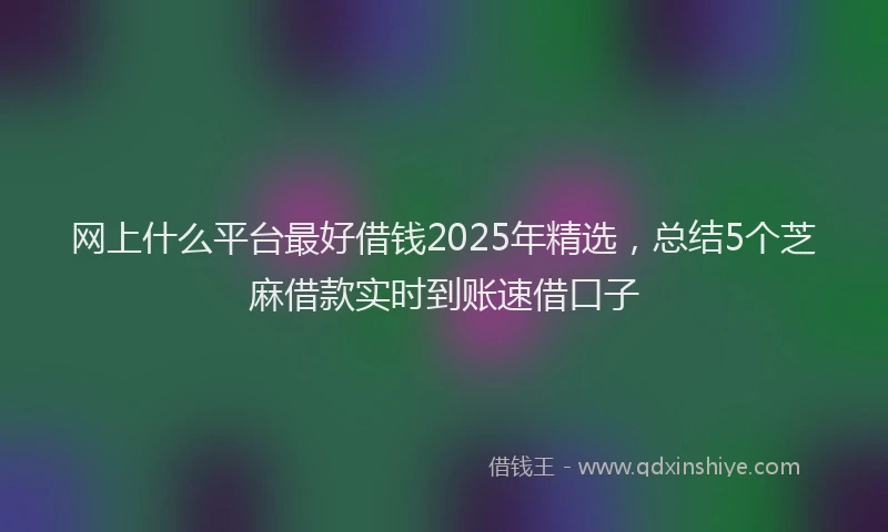 网上什么平台最好借钱2025年精选，总结5个芝麻借款实时到账速借口子