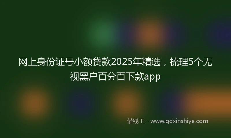 网上身份证号小额贷款2025年精选，梳理5个无视黑户百分百下款app