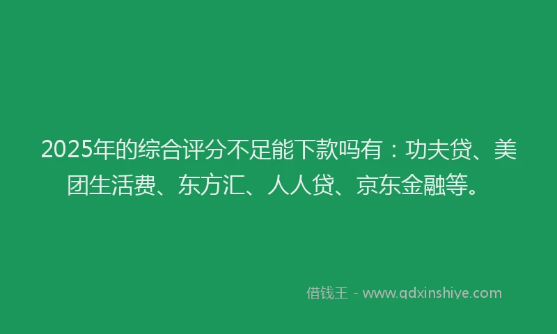 2025年的综合评分不足能下款吗有：功夫贷、美团生活费、东方汇、人人贷、京东金融等。