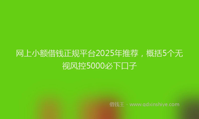 网上小额借钱正规平台2025年推荐，概括5个无视风控5000必下口子