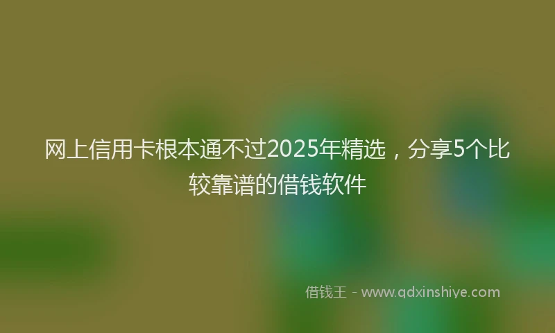 网上信用卡根本通不过2025年精选，分享5个比较靠谱的借钱软件