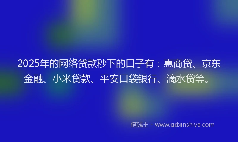 2025年的网络贷款秒下的口子有：惠商贷、京东金融、小米贷款、平安口袋银行、滴水贷等。