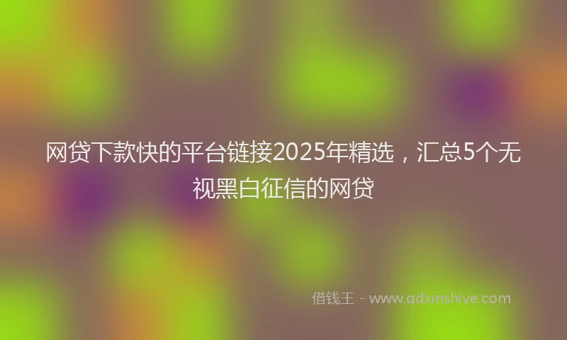 网贷下款快的平台链接2025年精选，汇总5个无视黑白征信的网贷