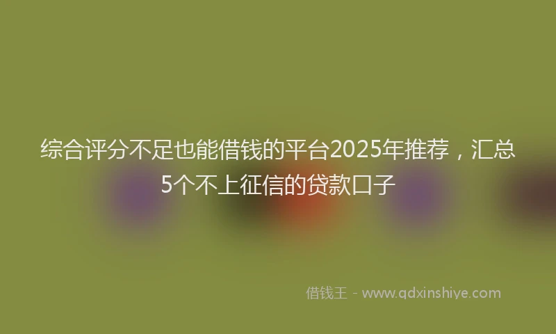 综合评分不足也能借钱的平台2025年推荐，汇总5个不上征信的贷款口子