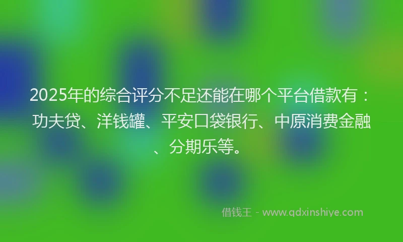 2025年的综合评分不足还能在哪个平台借款有：功夫贷、洋钱罐、平安口袋银行、中原消费金融、分期乐等。