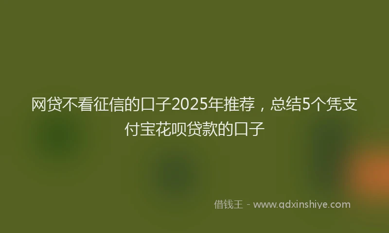 网贷不看征信的口子2025年推荐，总结5个凭支付宝花呗贷款的口子