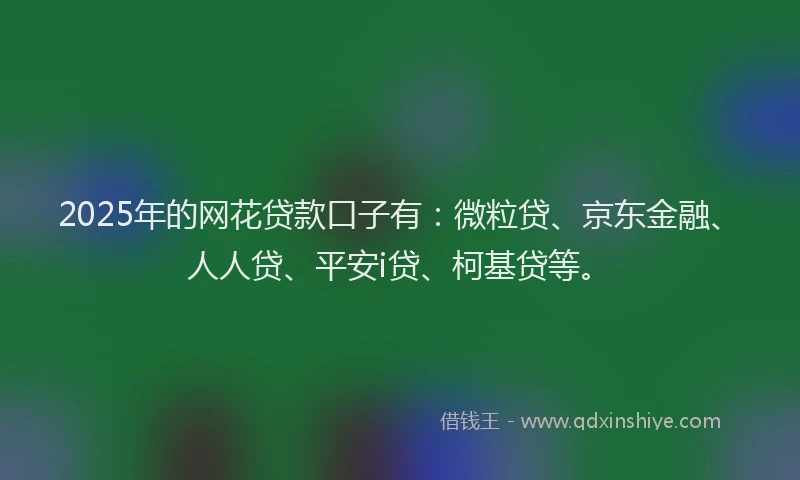 2025年的网花贷款口子有：微粒贷、京东金融、人人贷、平安i贷、柯基贷等。