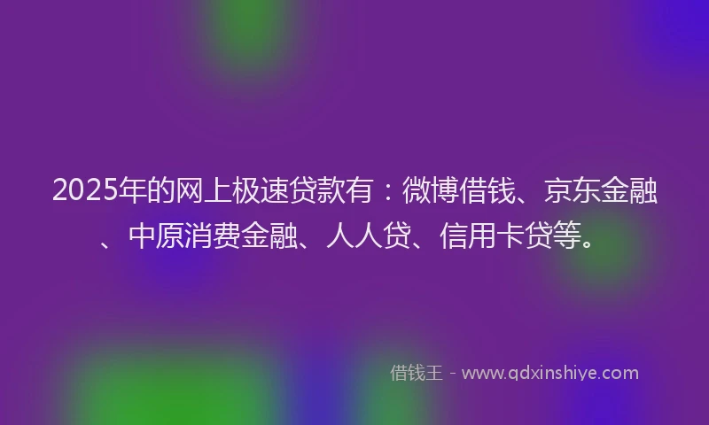 2025年的网上极速贷款有：微博借钱、京东金融、中原消费金融、人人贷、信用卡贷等。