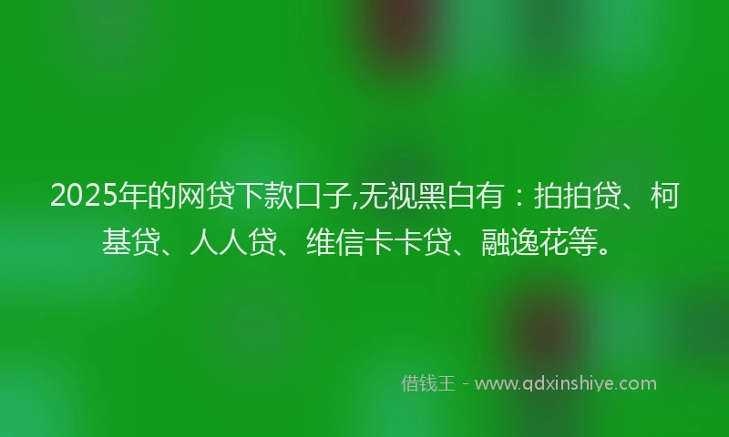 2025年的网贷下款口子,无视黑白有：拍拍贷、柯基贷、人人贷、维信卡卡贷、融逸花等。