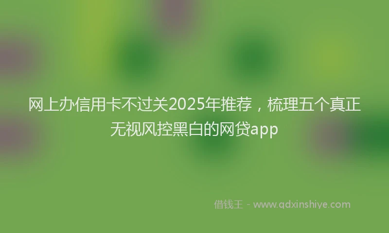 网上办信用卡不过关2025年推荐，梳理五个真正无视风控黑白的网贷app