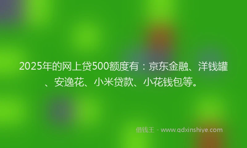 2025年的网上贷500额度有：京东金融、洋钱罐、安逸花、小米贷款、小花钱包等。