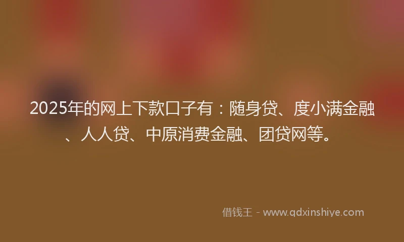 2025年的网上下款口子有：随身贷、度小满金融、人人贷、中原消费金融、团贷网等。
