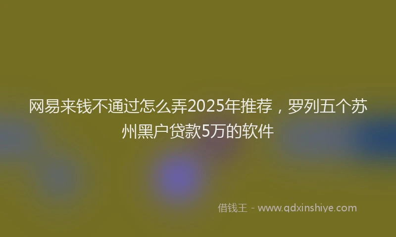 网易来钱不通过怎么弄2025年推荐，罗列五个苏州黑户贷款5万的软件