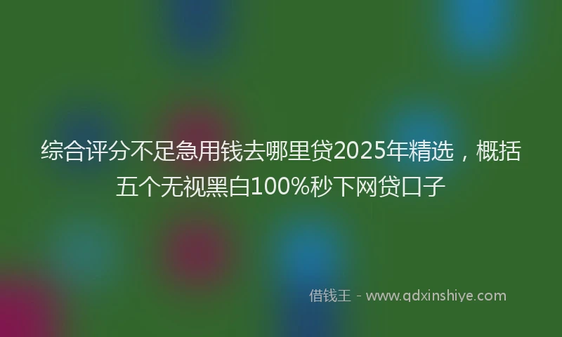 综合评分不足急用钱去哪里贷2025年精选，概括五个无视黑白100%秒下网贷口子