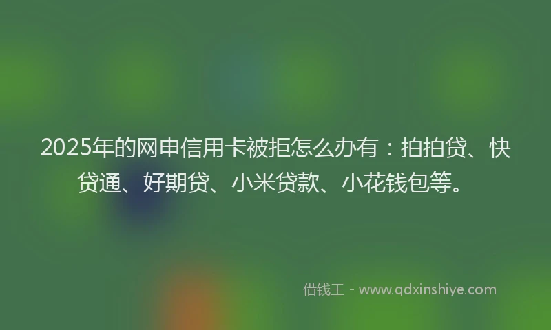 2025年的网申信用卡被拒怎么办有：拍拍贷、快贷通、好期贷、小米贷款、小花钱包等。