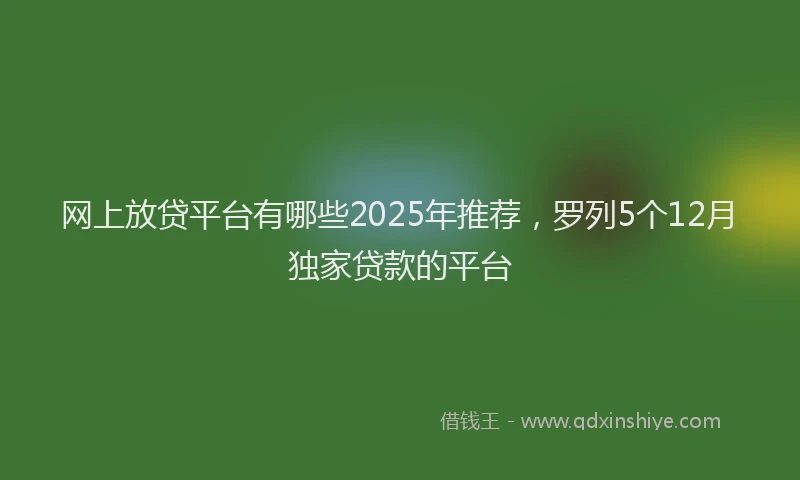 网上放贷平台有哪些2025年推荐，罗列5个12月独家贷款的平台