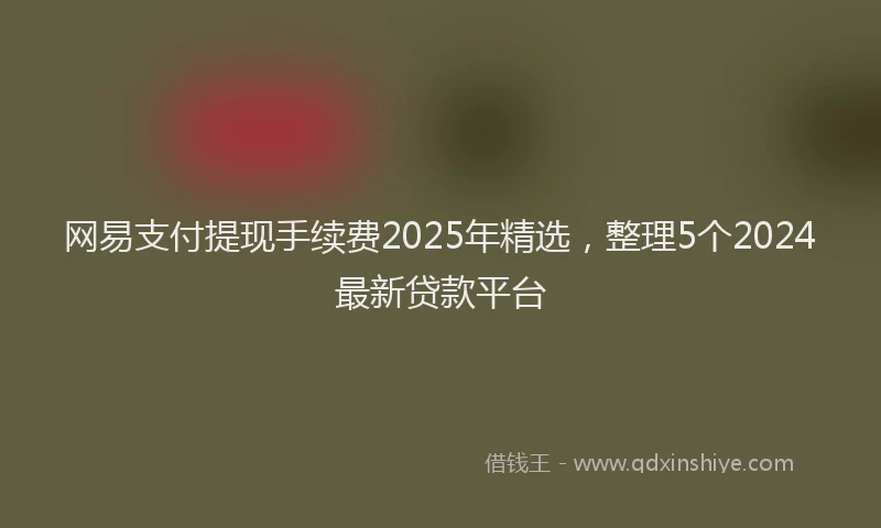 网易支付提现手续费2025年精选，整理5个2024最新贷款平台