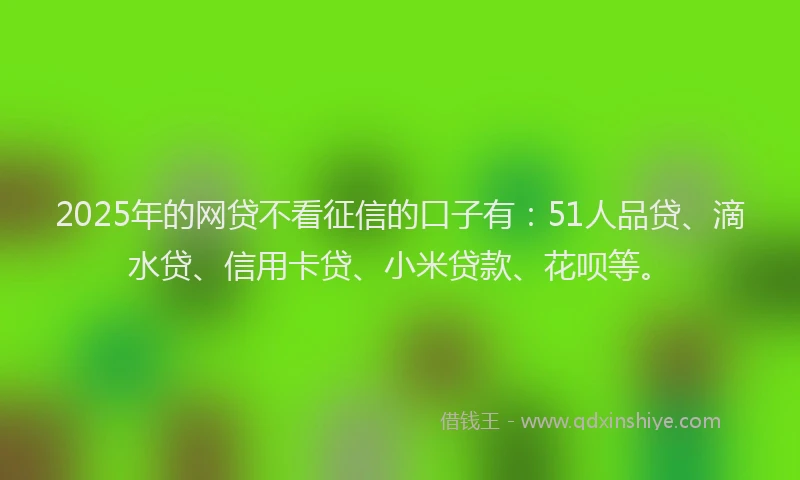 2025年的网贷不看征信的口子有：51人品贷、滴水贷、信用卡贷、小米贷款、花呗等。