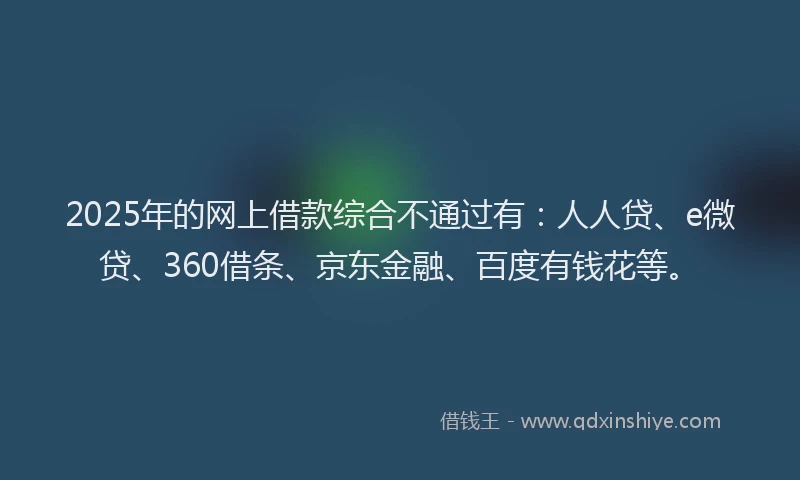 2025年的网上借款综合不通过有：人人贷、e微贷、360借条、京东金融、百度有钱花等。