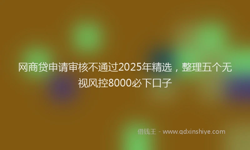 网商贷申请审核不通过2025年精选，整理五个无视风控8000必下口子