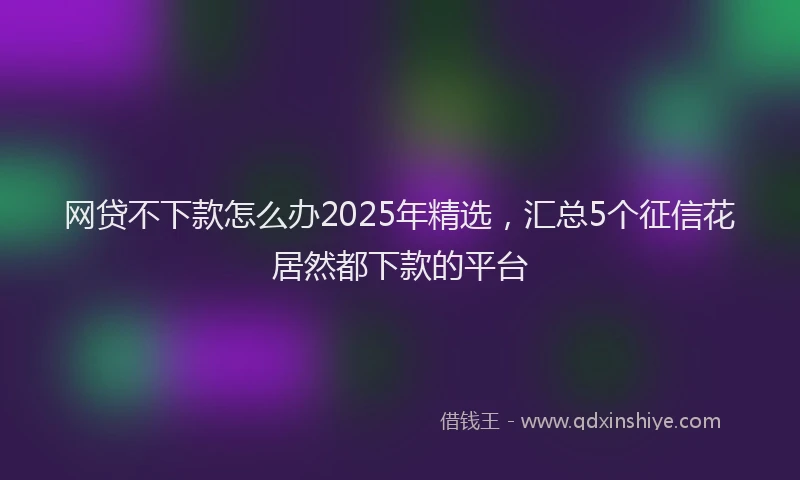 网贷不下款怎么办2025年精选，汇总5个征信花居然都下款的平台