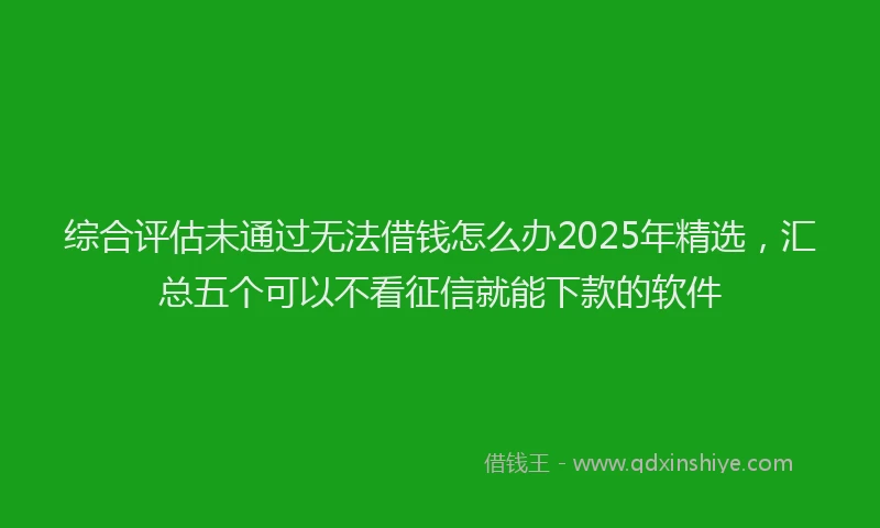 综合评估未通过无法借钱怎么办2025年精选，汇总五个可以不看征信就能下款的软件