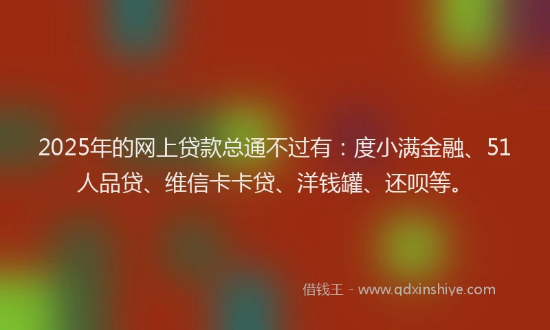 2025年的网上贷款总通不过有：度小满金融、51人品贷、维信卡卡贷、洋钱罐、还呗等。