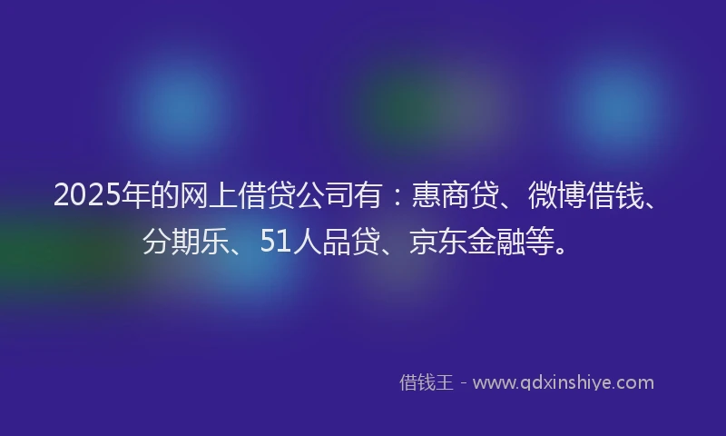 2025年的网上借贷公司有：惠商贷、微博借钱、分期乐、51人品贷、京东金融等。