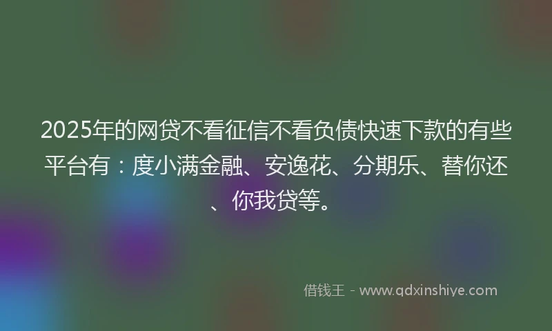 2025年的网贷不看征信不看负债快速下款的有些平台有：度小满金融、安逸花、分期乐、替你还、你我贷等。