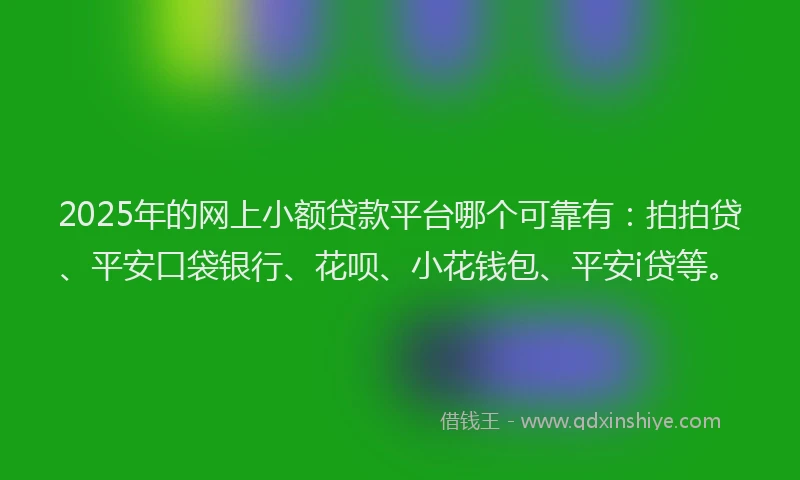 2025年的网上小额贷款平台哪个可靠有：拍拍贷、平安口袋银行、花呗、小花钱包、平安i贷等。