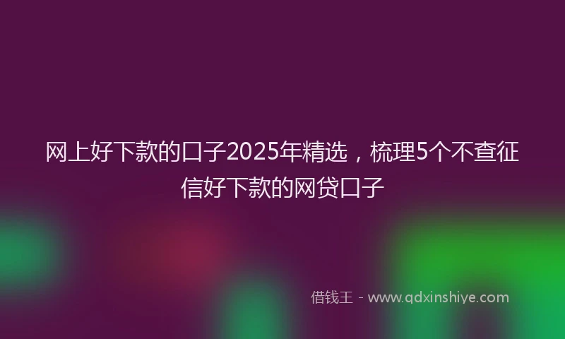 网上好下款的口子2025年精选，梳理5个不查征信好下款的网贷口子