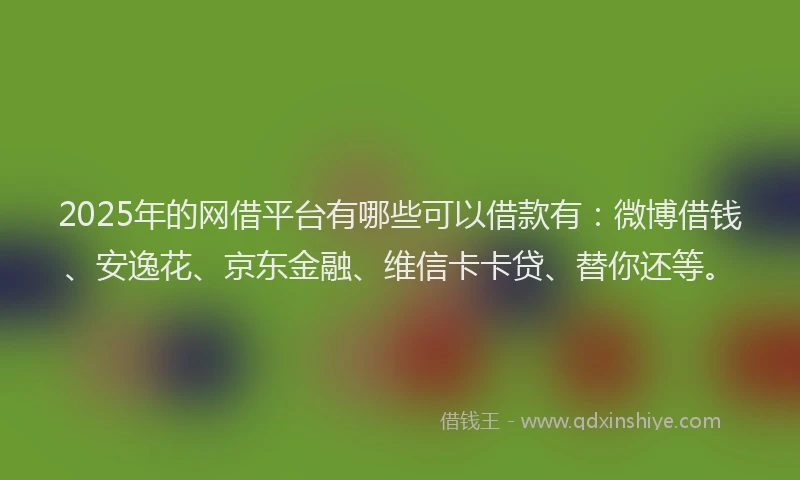 2025年的网借平台有哪些可以借款有：微博借钱、安逸花、京东金融、维信卡卡贷、替你还等。