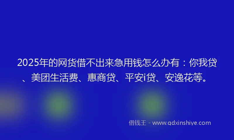 2025年的网货借不出来急用钱怎么办有：你我贷、美团生活费、惠商贷、平安i贷、安逸花等。