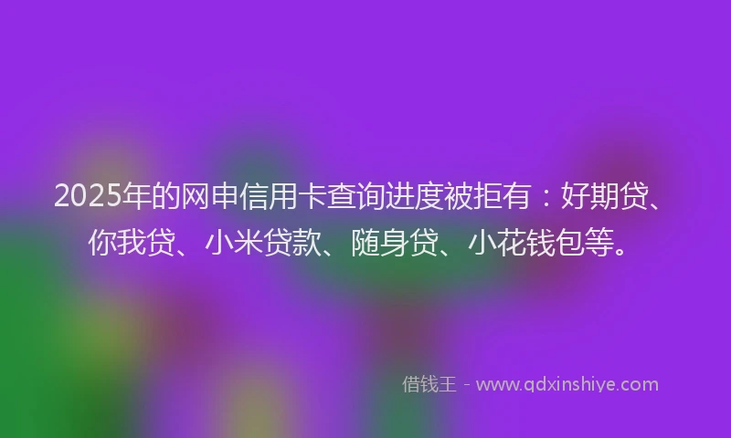 2025年的网申信用卡查询进度被拒有：好期贷、你我贷、小米贷款、随身贷、小花钱包等。