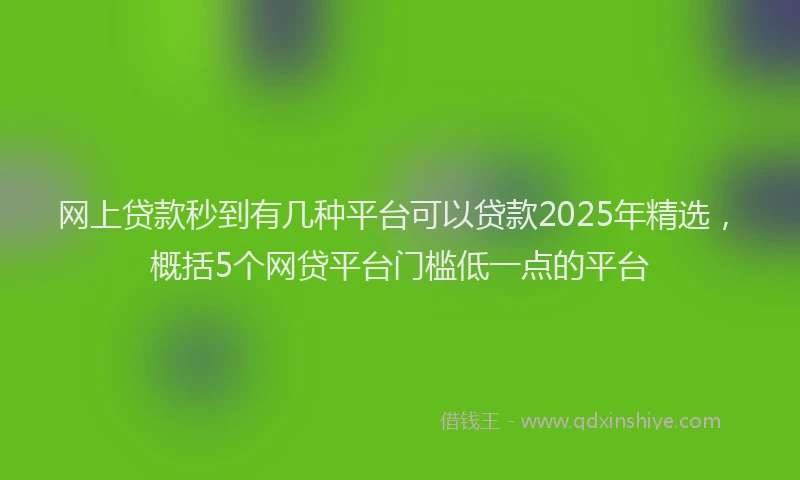 网上贷款秒到有几种平台可以贷款2025年精选，概括5个网贷平台门槛低一点的平台