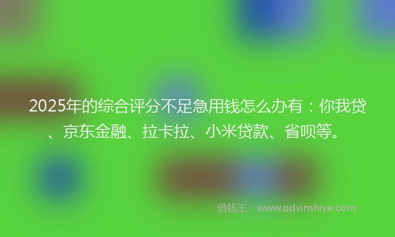 2025年的综合评分不足急用钱怎么办有：你我贷、京东金融、拉卡拉、小米贷款、省呗等。