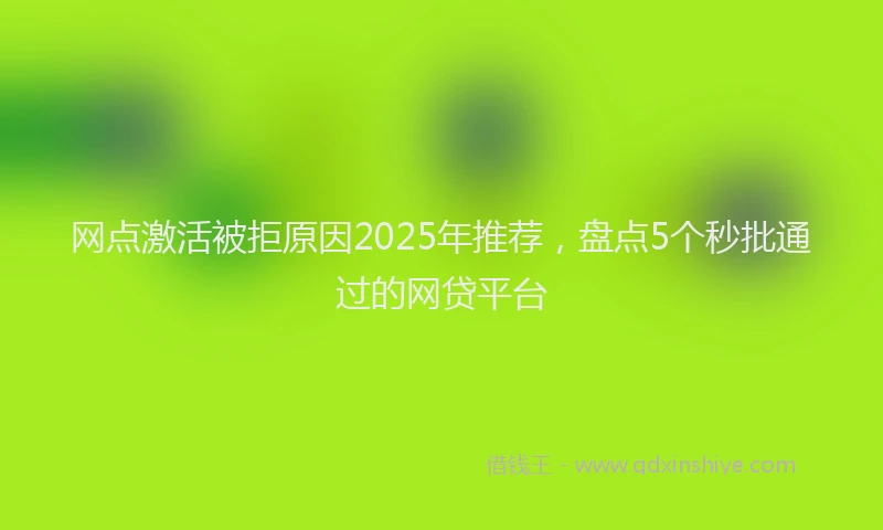 网点激活被拒原因2025年推荐，盘点5个秒批通过的网贷平台