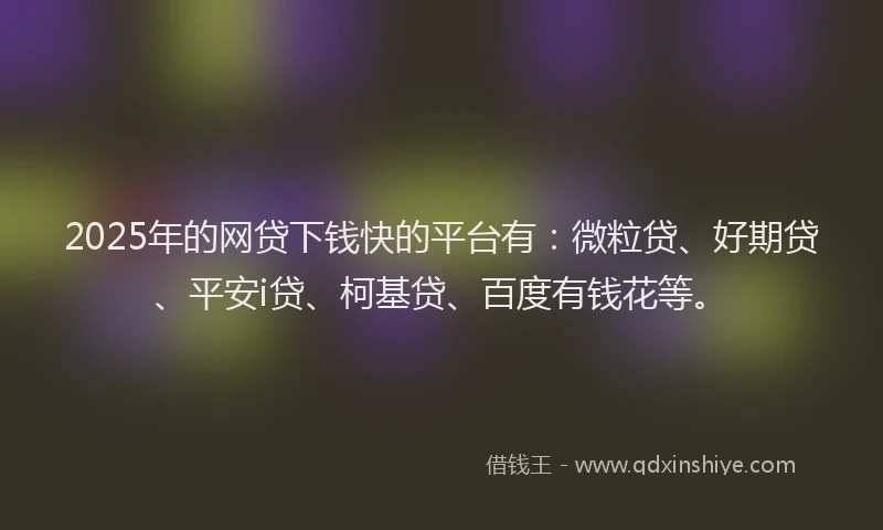 2025年的网贷下钱快的平台有：微粒贷、好期贷、平安i贷、柯基贷、百度有钱花等。