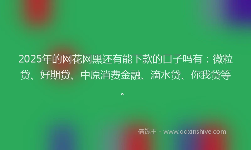 2025年的网花网黑还有能下款的口子吗有：微粒贷、好期贷、中原消费金融、滴水贷、你我贷等。