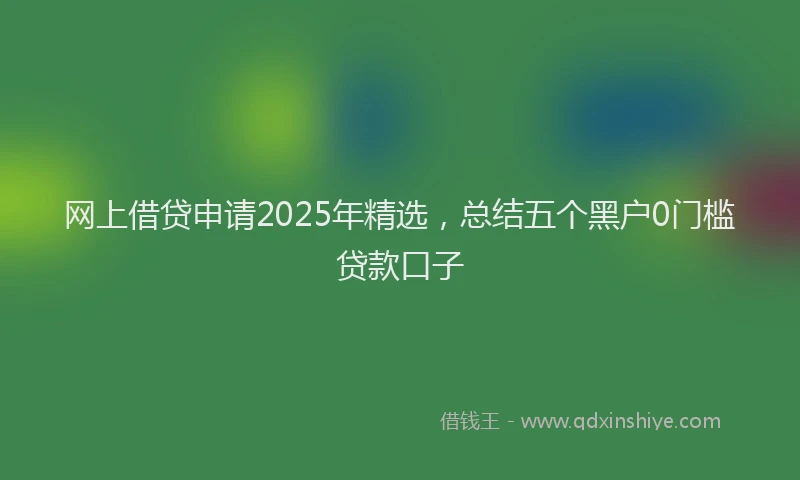 网上借贷申请2025年精选，总结五个黑户0门槛贷款口子