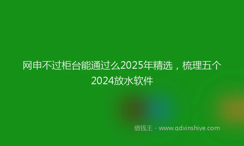 网申不过柜台能通过么2025年精选，梳理五个2024放水软件