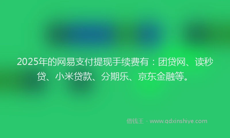 2025年的网易支付提现手续费有：团贷网、读秒贷、小米贷款、分期乐、京东金融等。