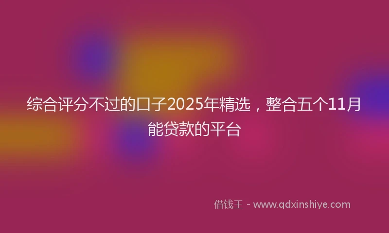 综合评分不过的口子2025年精选，整合五个11月能贷款的平台