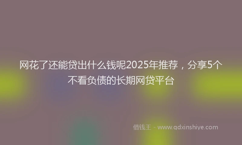 网花了还能贷出什么钱呢2025年推荐,分享5个不看负债的长期网贷平台