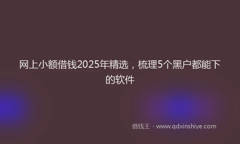 网上小额借钱2025年精选，梳理5个黑户都能下的软件