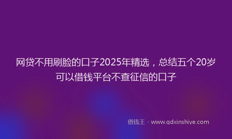 网贷不用刷脸的口子2025年精选，总结五个20岁可以借钱平台不查征信的口子