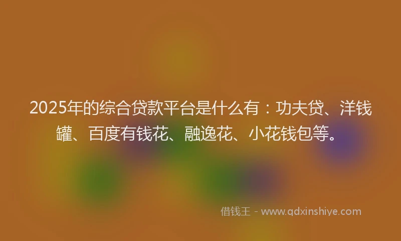 2025年的综合贷款平台是什么有：功夫贷、洋钱罐、百度有钱花、融逸花、小花钱包等。