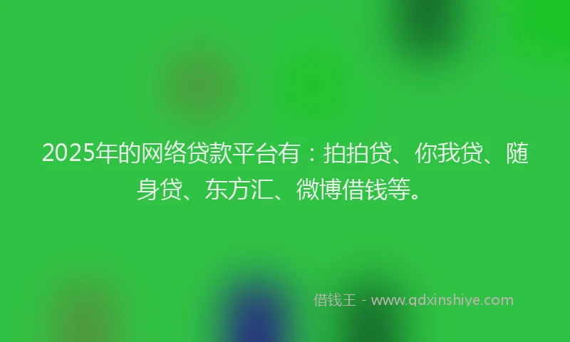 2025年的网络贷款平台有：拍拍贷、你我贷、随身贷、东方汇、微博借钱等。