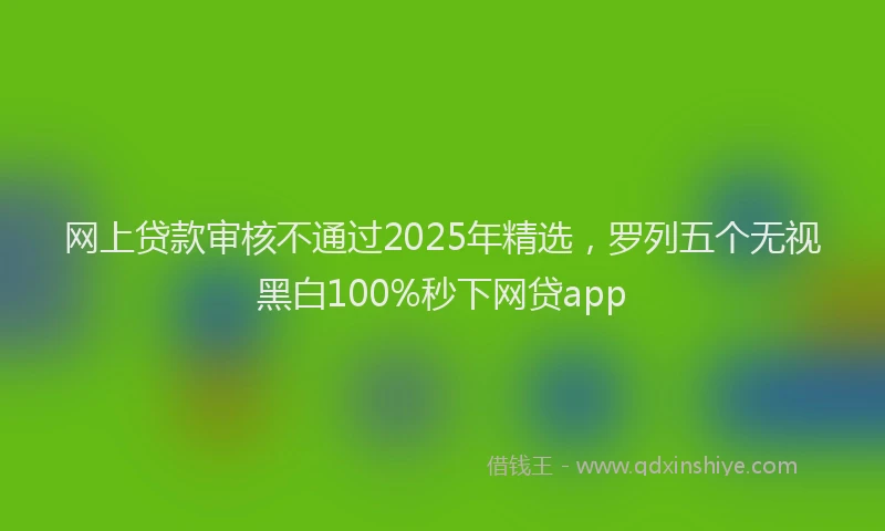 网上贷款审核不通过2025年精选，罗列五个无视黑白100%秒下网贷app
